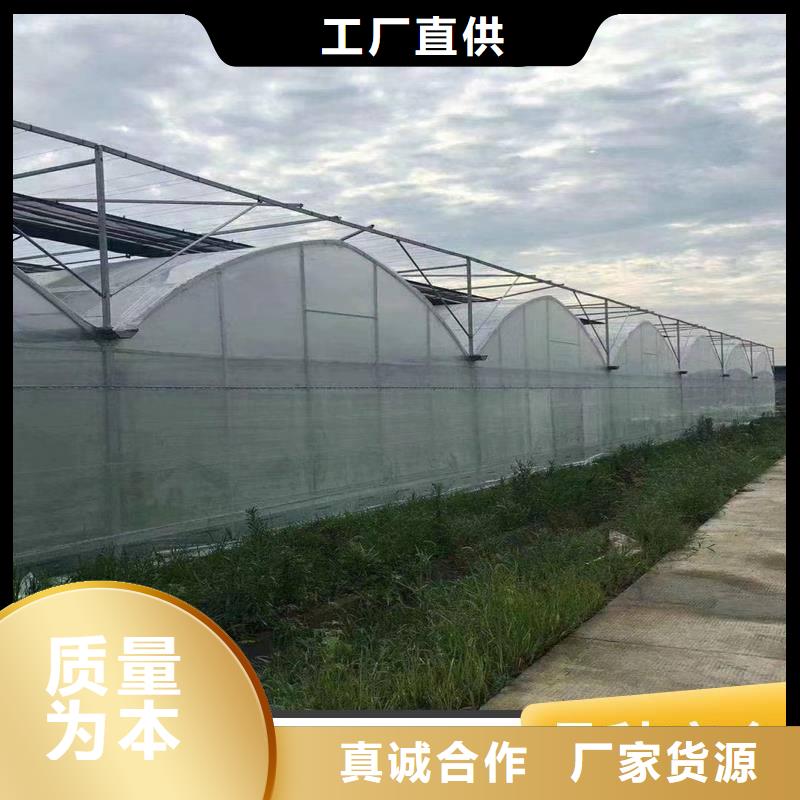杨梅大棚管品质保障