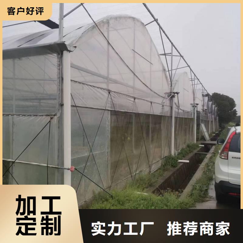 杨梅大棚管品质保障