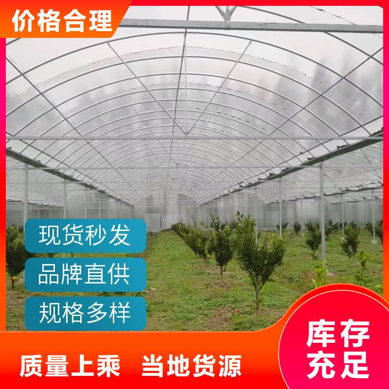 杨梅大棚管品质保障