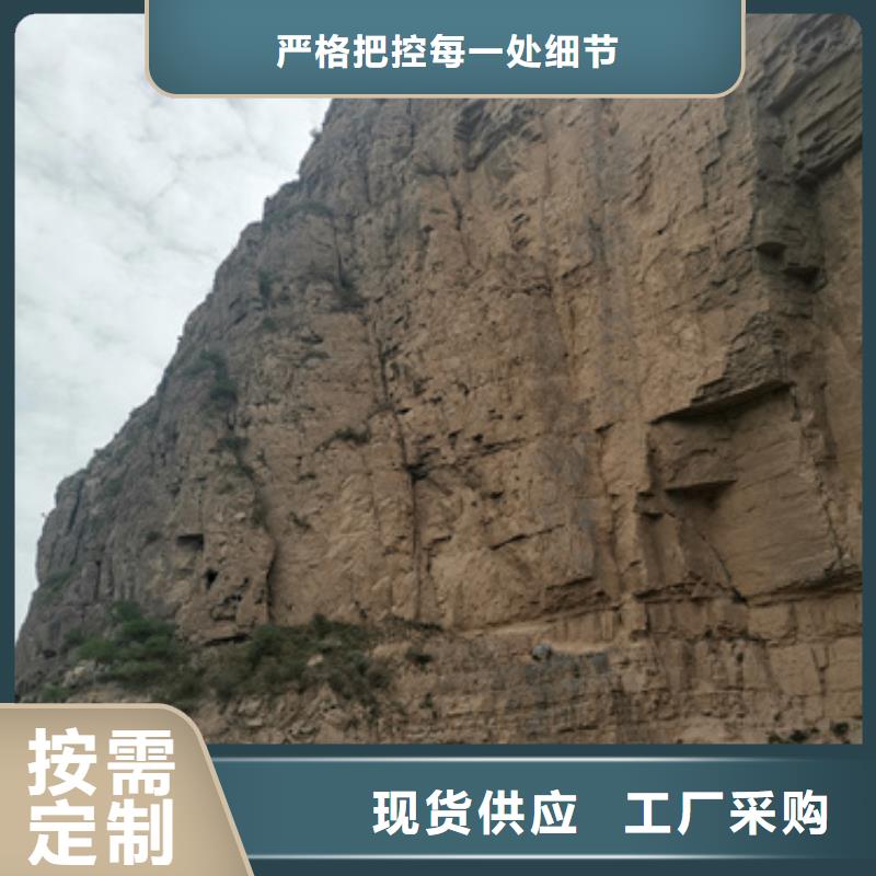 选购高压发电机车变压器租赁全国统一价