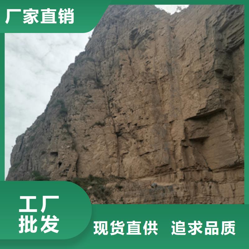 大功率柴油发电机租赁性价比高