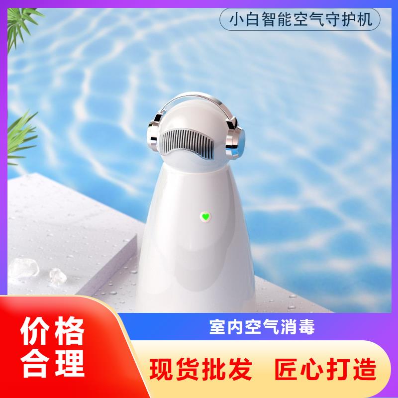 小白祛味王,销售小白空气守护机器人用心制造