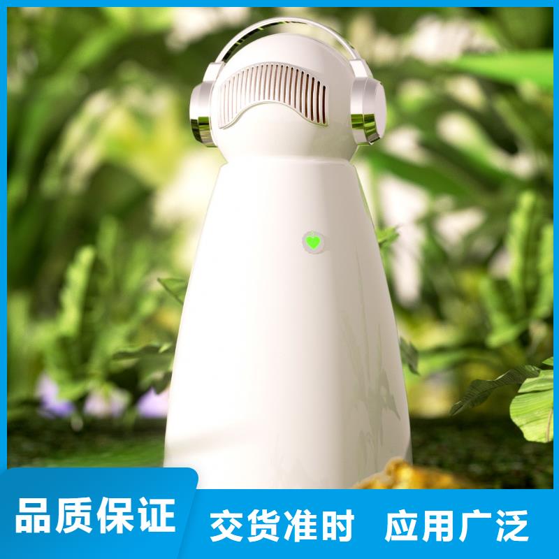 小白祛味王好品质经得住考验