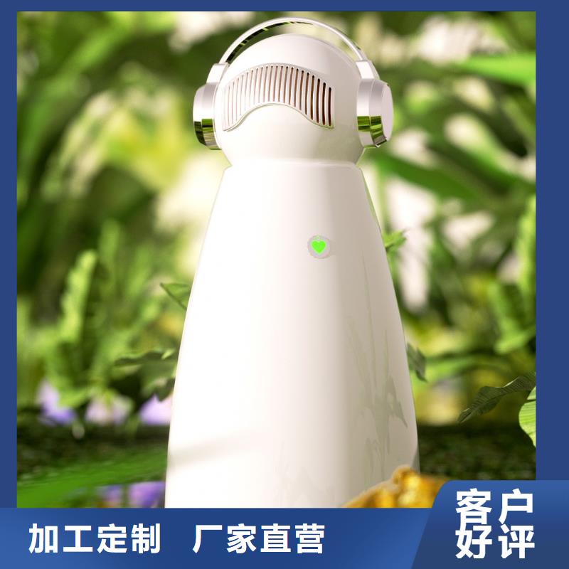 小白祛味王生产小白空气守护机器人选择大厂家省事省心
