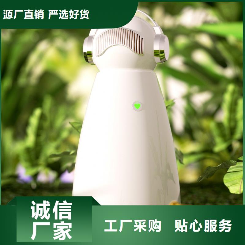 小白祛味王【销售小白空气守护机器人】可零售可批发
