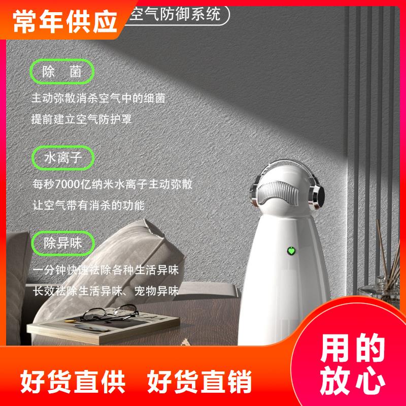 艾森智控_小白祛味王批发价精选货源