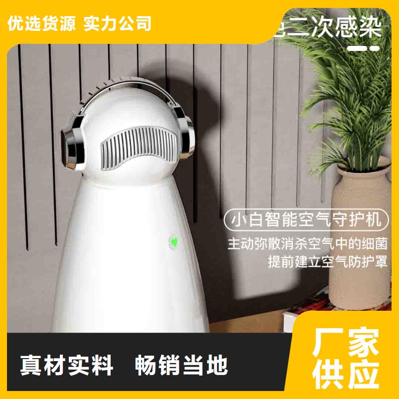 小白孕妇空气守护机销售智能空气净化器量大从优