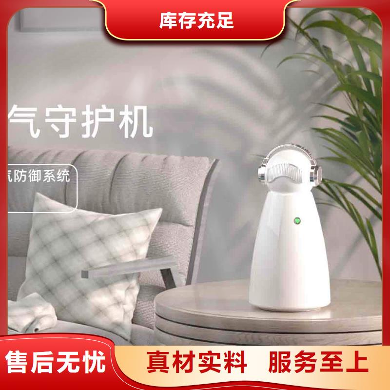 小白孕妇空气守护机智能空气净化器销售品质保障价格合理