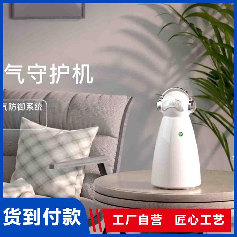 小白孕妇空气守护机,小白祛味王质量无忧