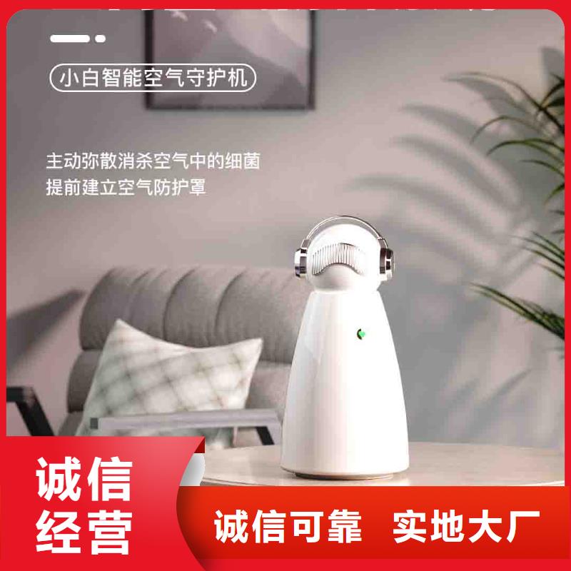 小白孕妇空气守护机【小白祛味王现货批发】源厂直接供货