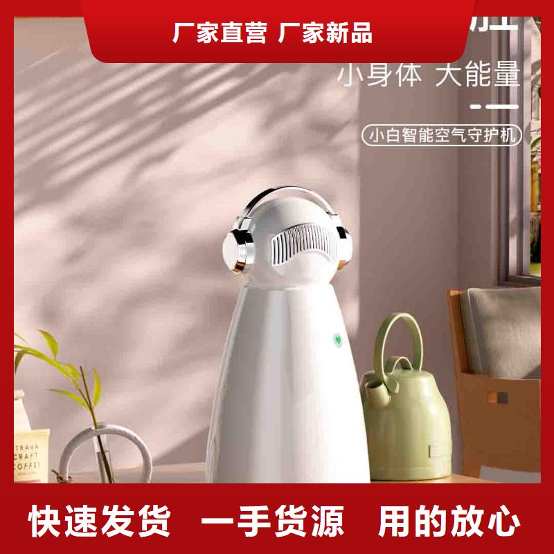 小白孕妇空气守护机,小白祛味王质量无忧