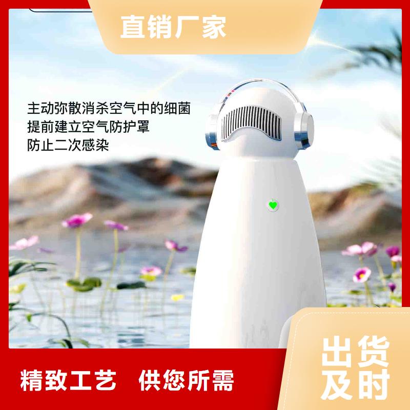 【小白空气守护机小白空气守护机销售快速发货】