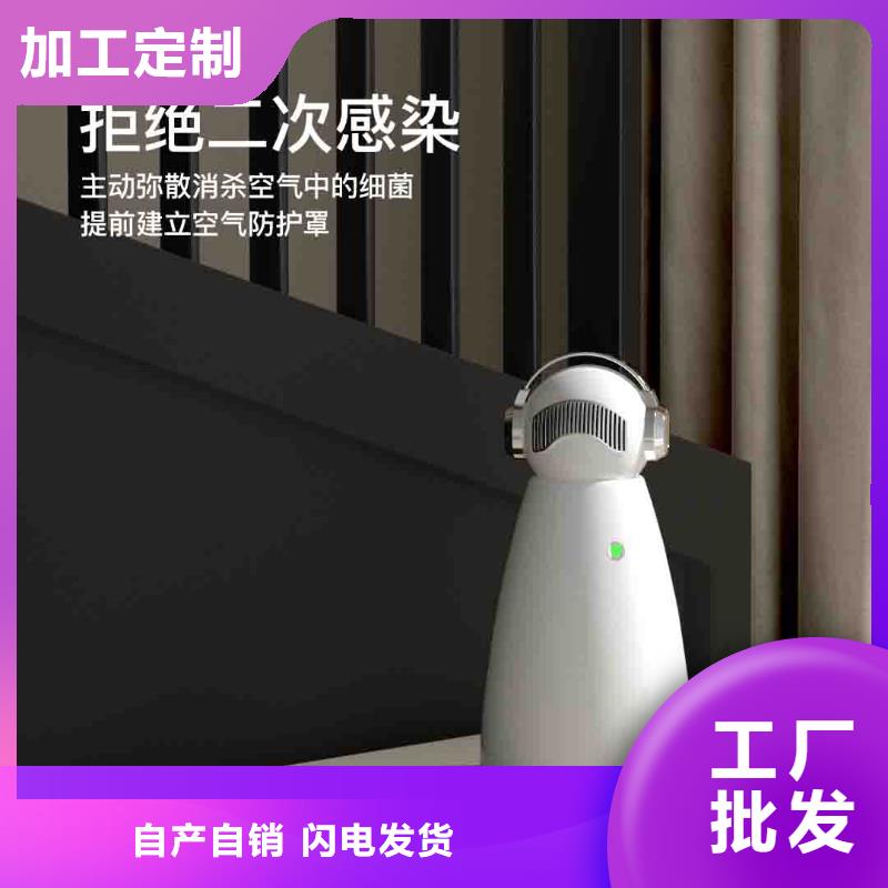 小白空气守护机车载空气净化器供应质量无忧