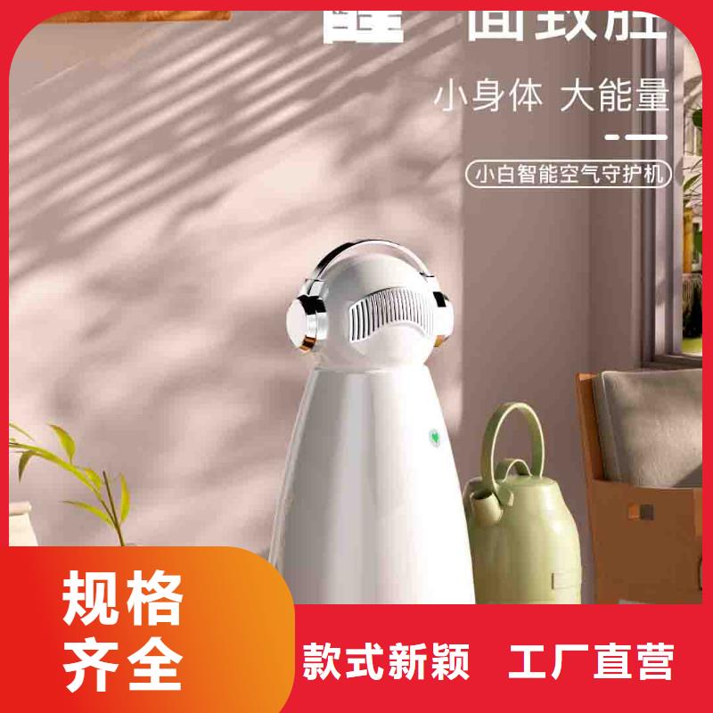 小白空气守护机批发小白空气守护机器人购买的是放心