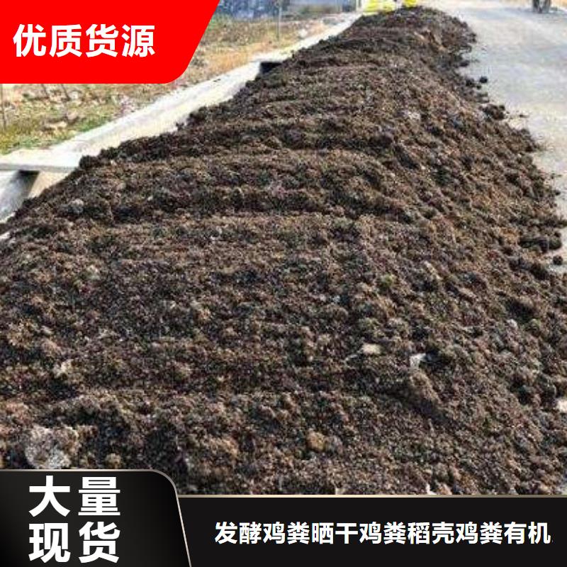 发酵鸡粪供货