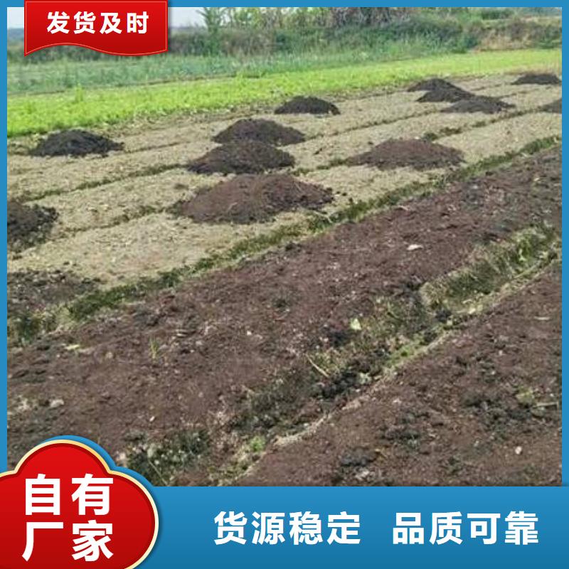 发酵羊粪质量上乘