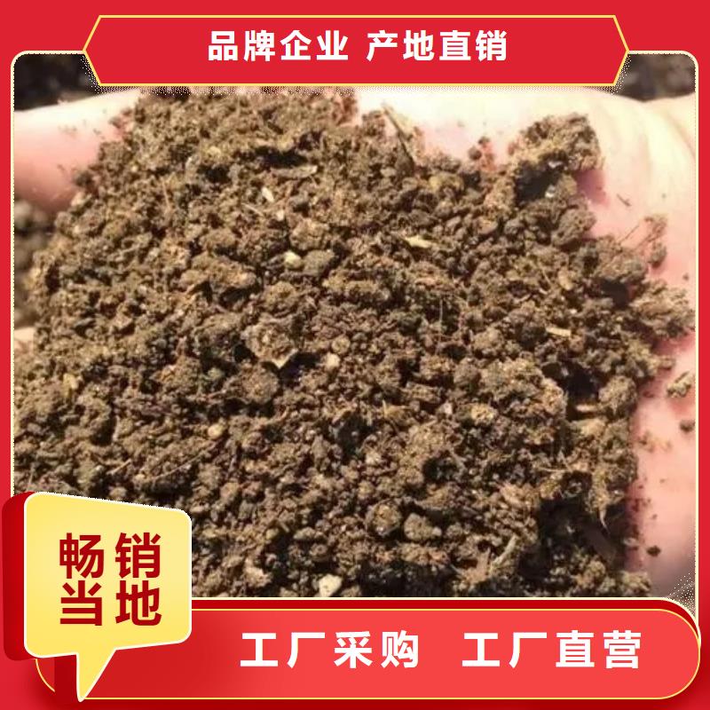 有机肥肥沃农田