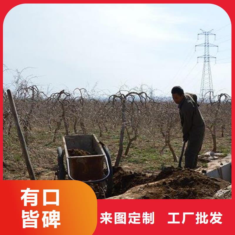 特别行政区有机肥园林绿化用着好