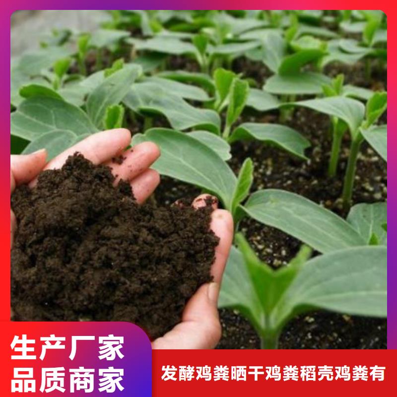 鸡粪有机肥新闻