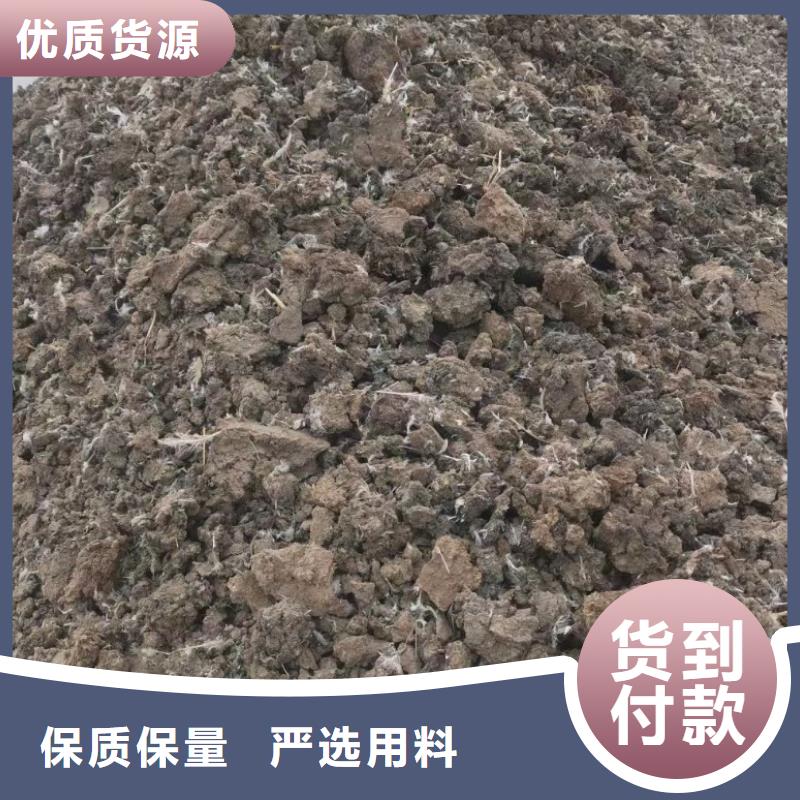 晒干鸡粪批发