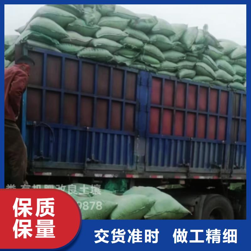 干鸡粪摇钱树