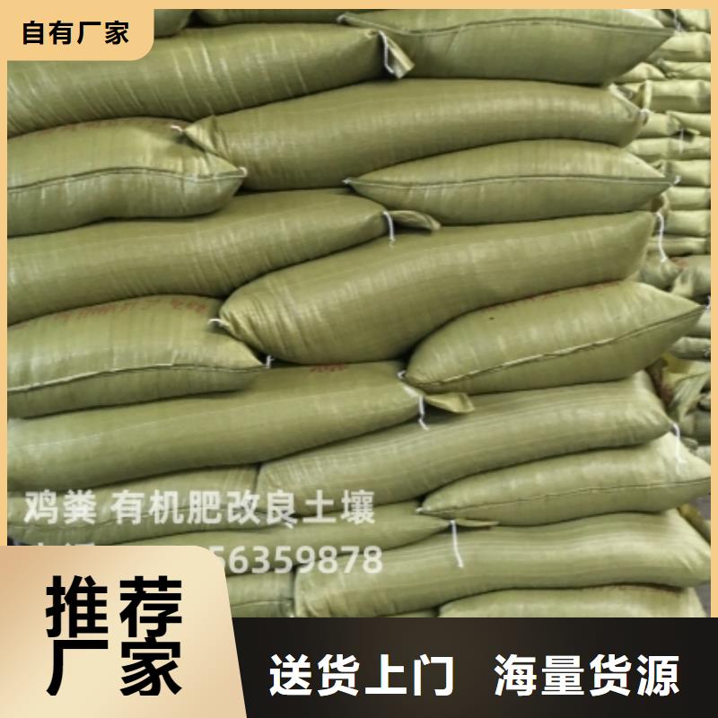 干鸡粪摇钱树