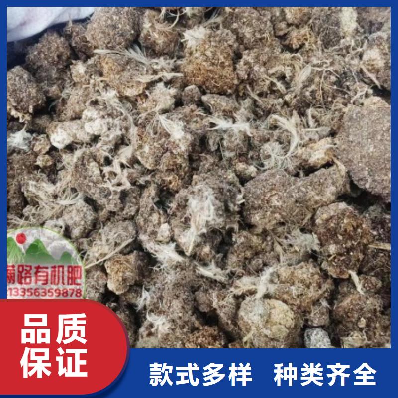 发酵鸡粪后劲长