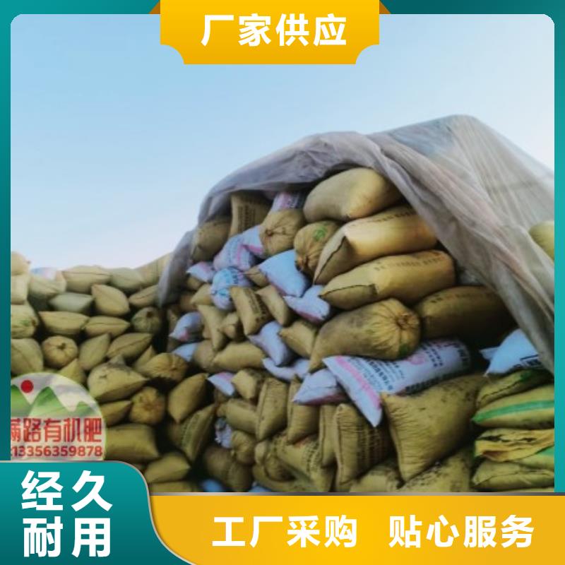 鸡粪有需要的留意