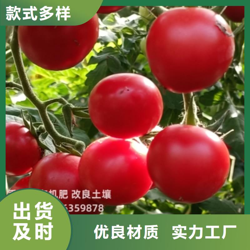 发酵鸡粪哪里有这种