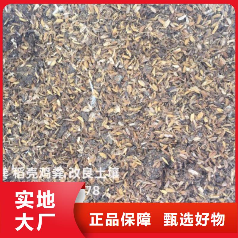 晒干鸡粪良心肥