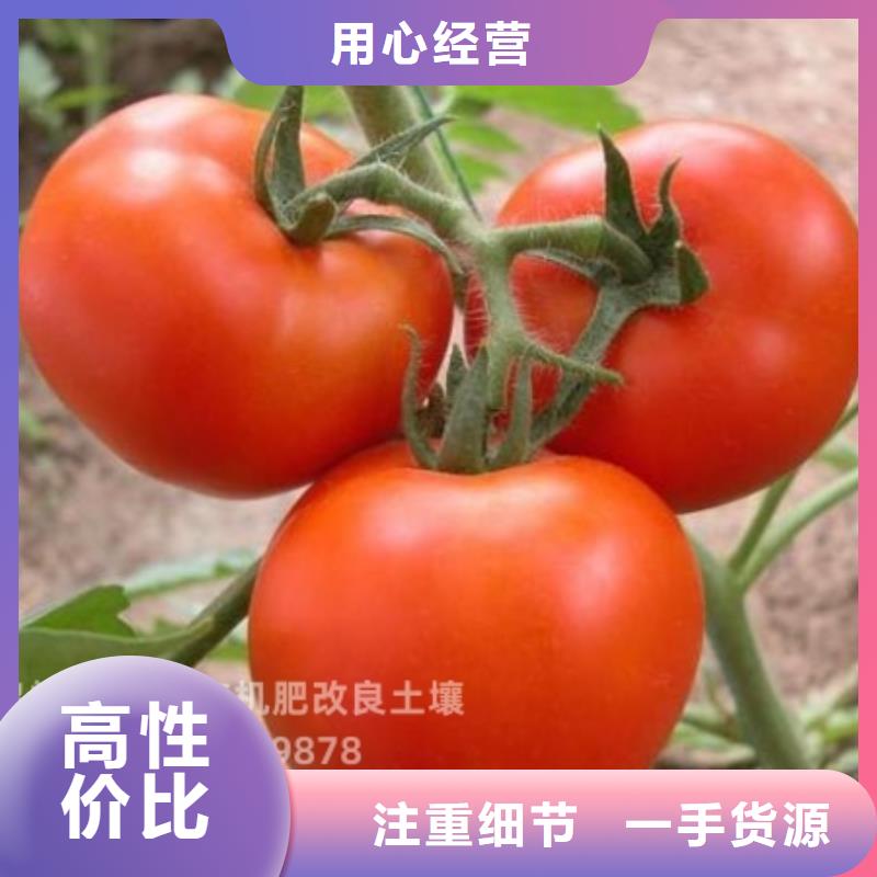 发酵纯鸡粪生产商