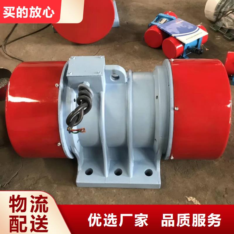 振动电机-平板振动器卓越品质保障