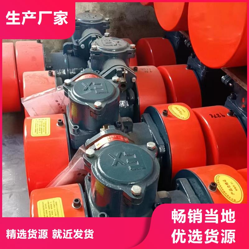 振动电机防爆电机厂家经验丰富