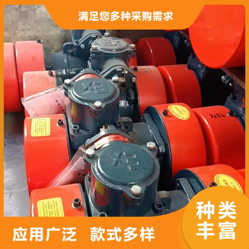 振动电机-平板振动器卓越品质保障