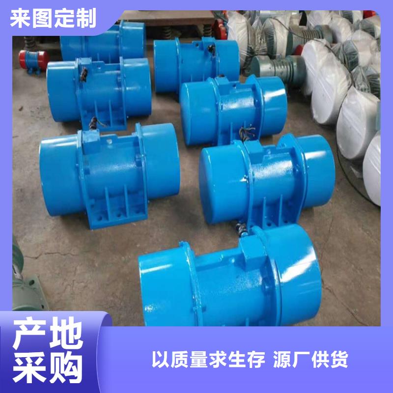 防爆振动电机【平板振动器厂家】实力商家
