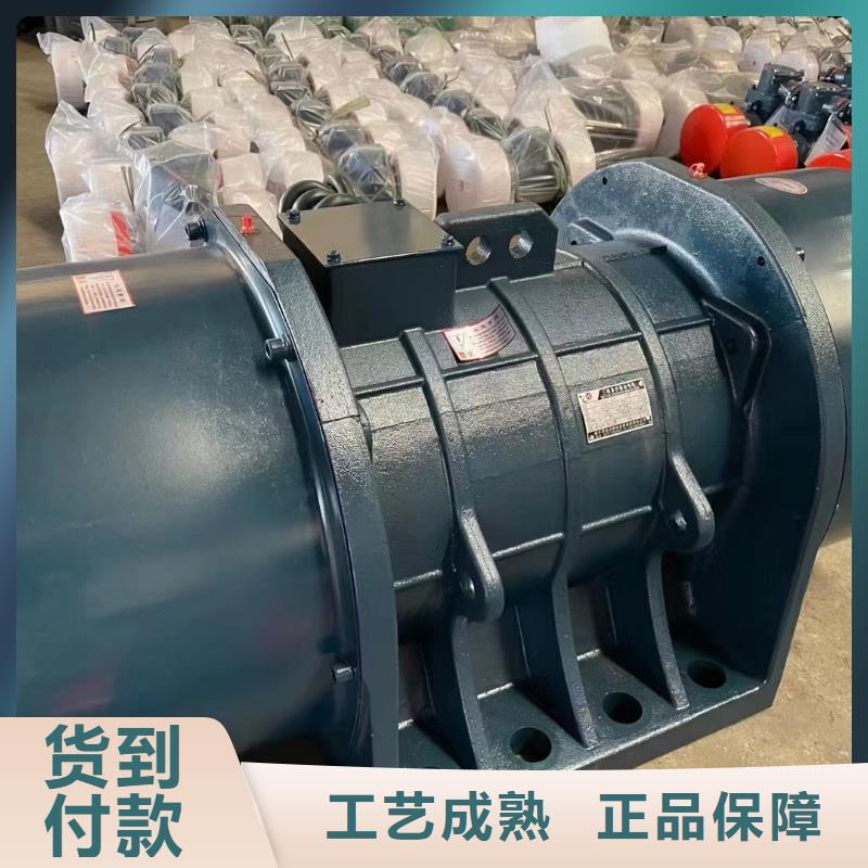防爆振动电机【平板振动器厂家】实力商家