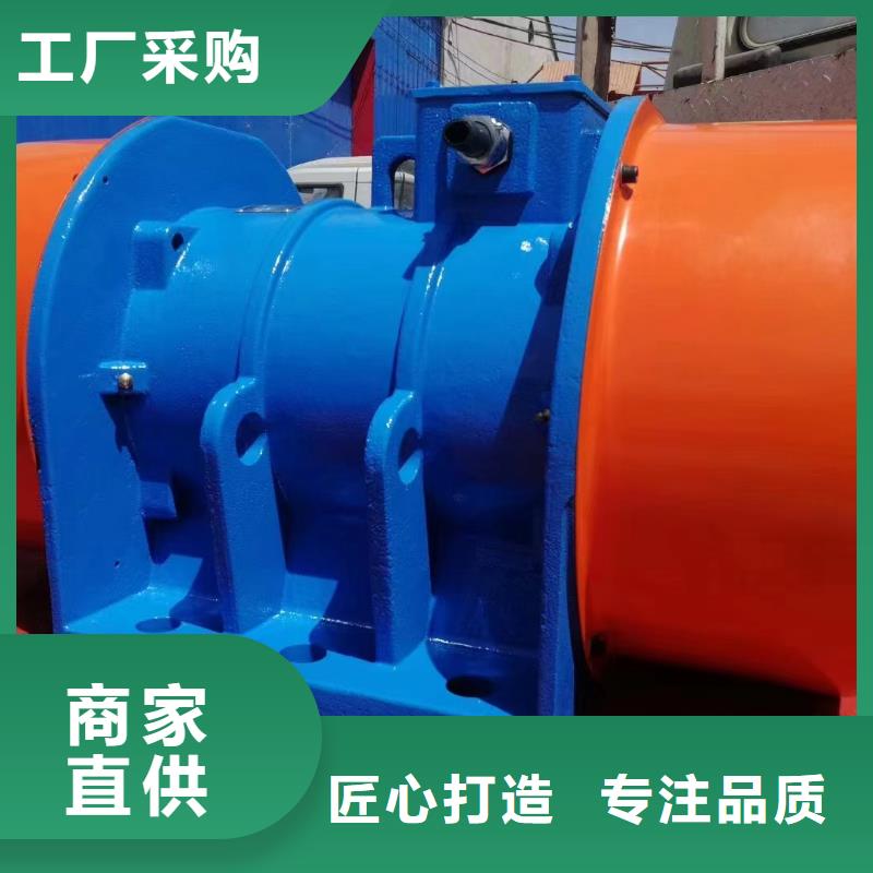 防爆振动电机质检严格