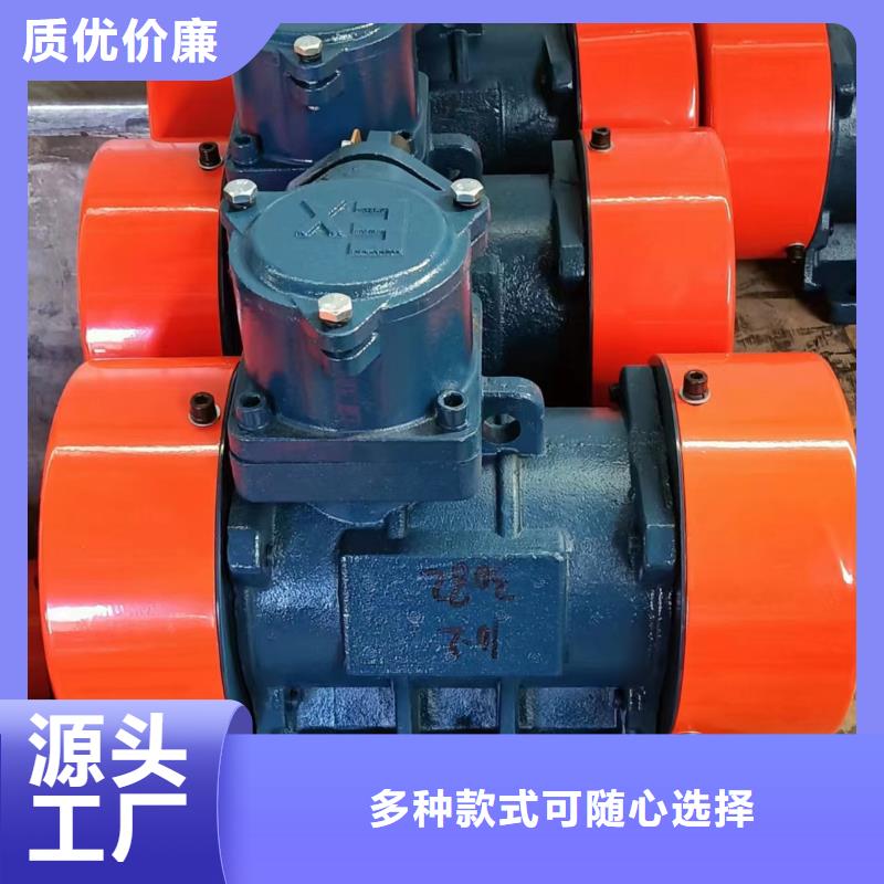 防爆振动电机,振动筛品质之选