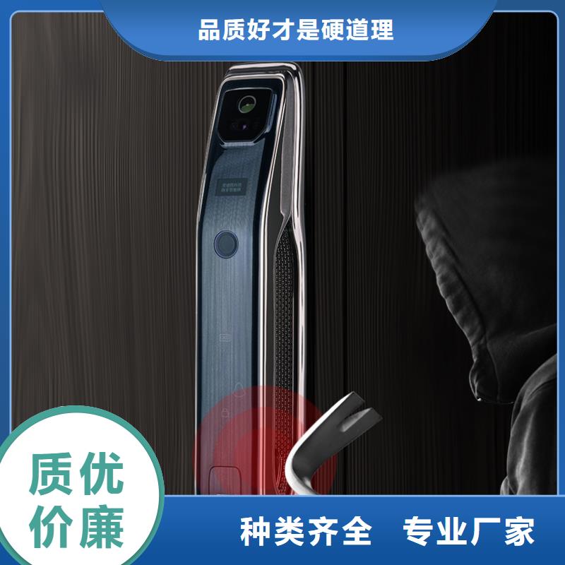 【智能锁货源直销】