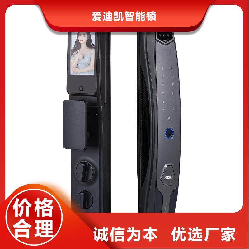 智能锁人脸识别智能锁厂家直销货源充足
