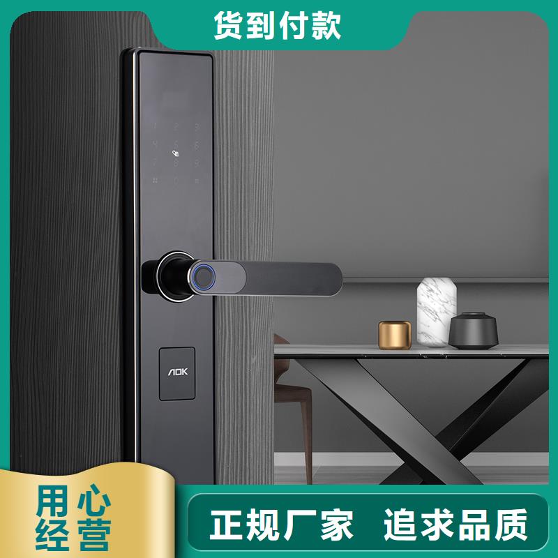 智能锁_密码锁生产厂家货源稳定