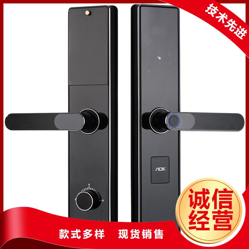 智能锁指纹锁供应支持大批量采购