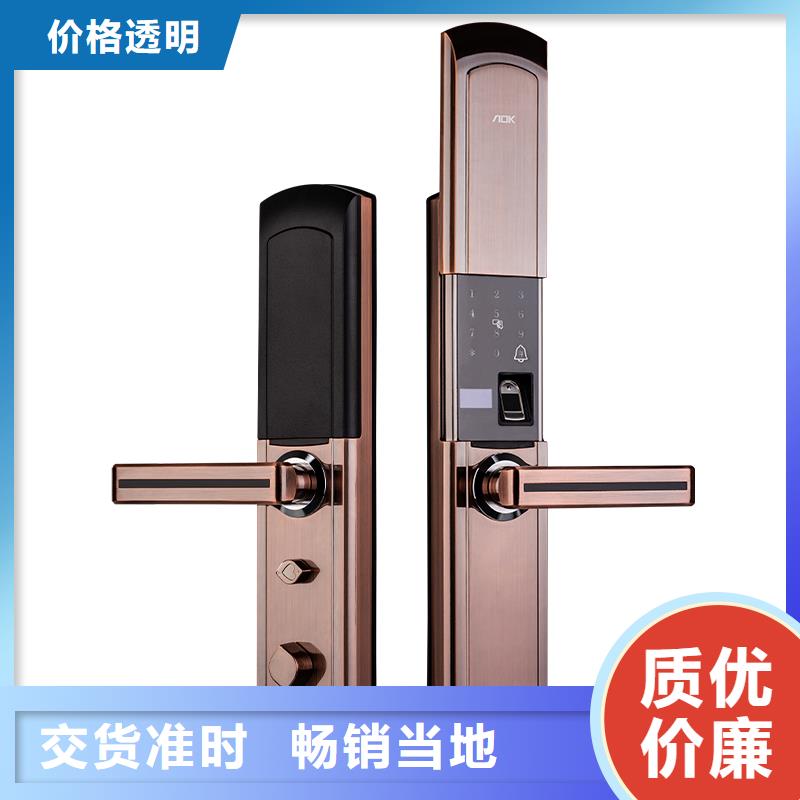 智能锁指纹锁N年生产经验