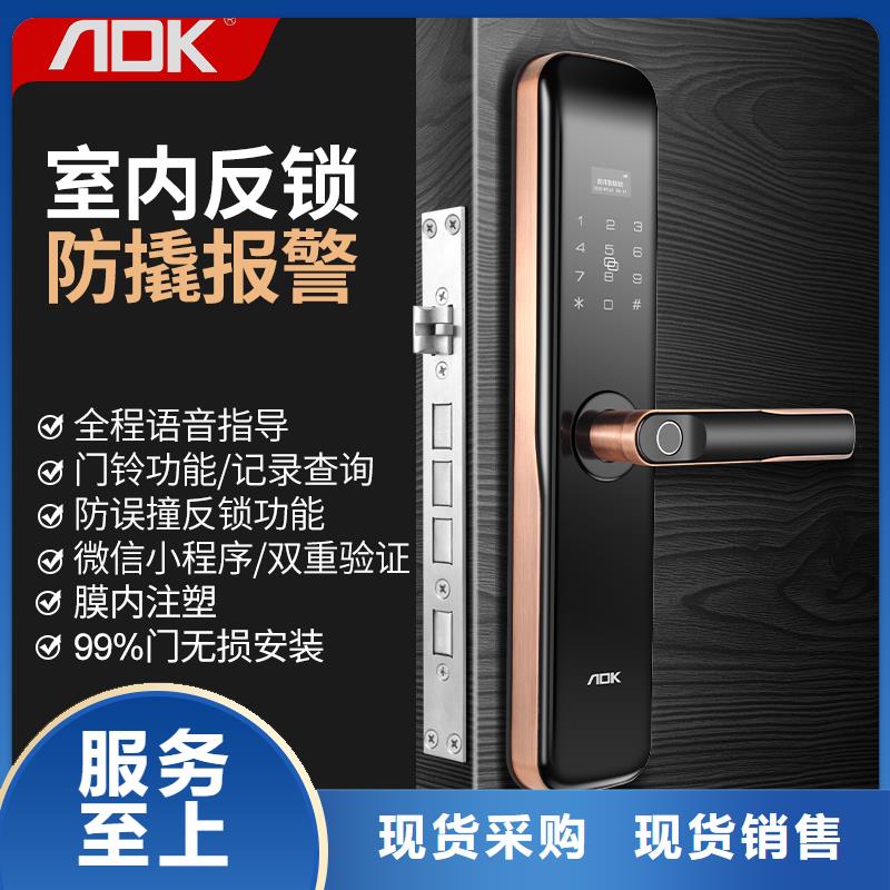智能锁人脸识别智能锁厂家交货准时