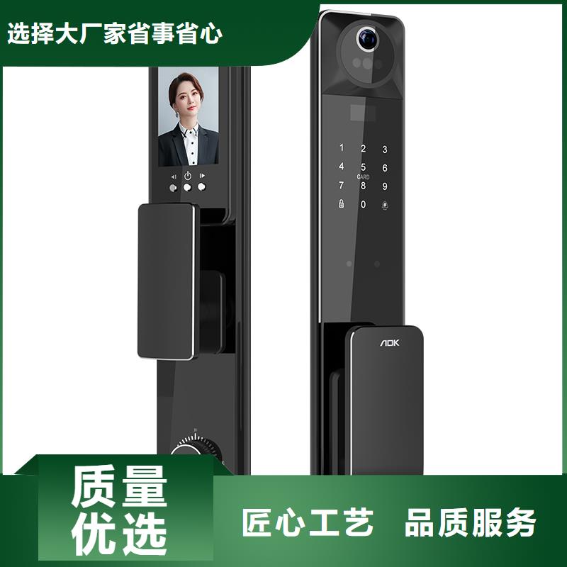 智能锁人脸识别智能锁价格精工制作