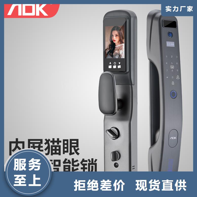 智能锁指纹锁批发快速生产