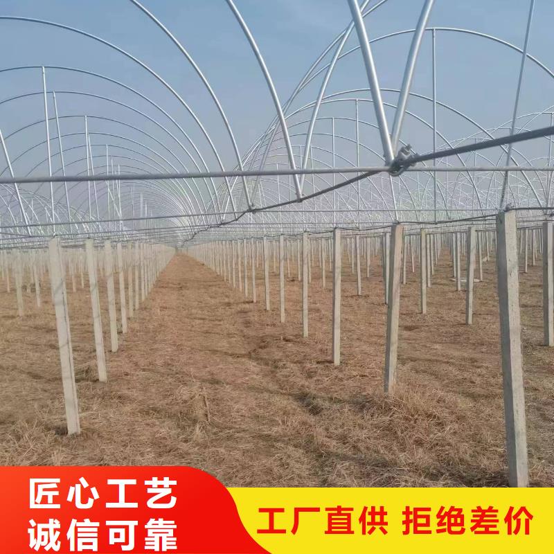 温室大棚光伏支架支持定制贴心售后