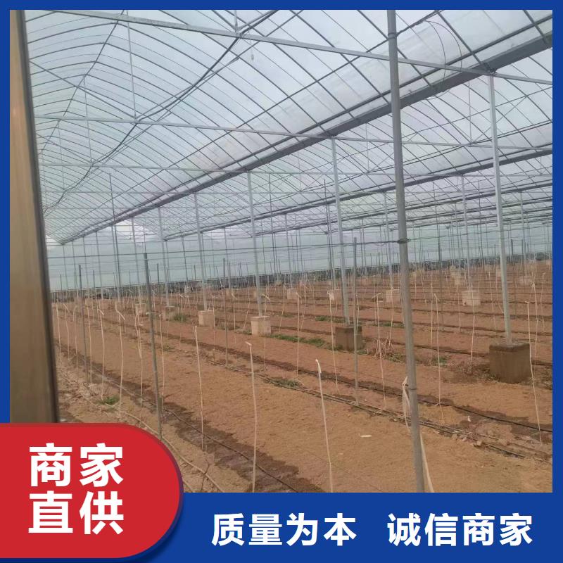 温室大棚_方矩管质检合格发货