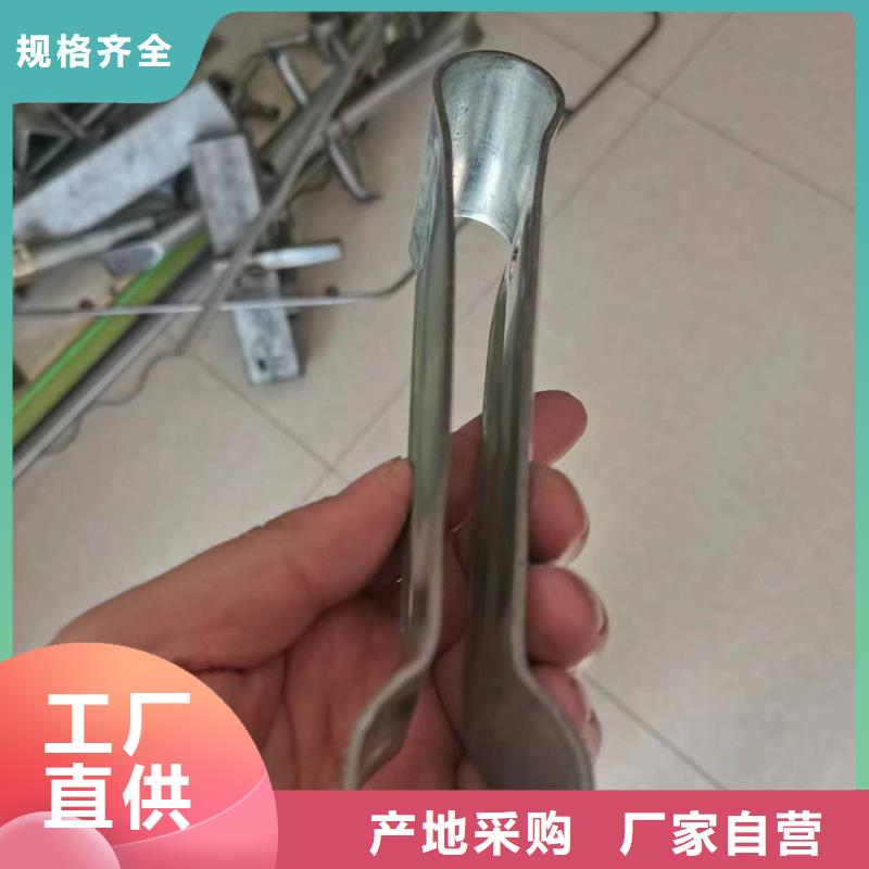 乐东县避雨棚蓝莓生产