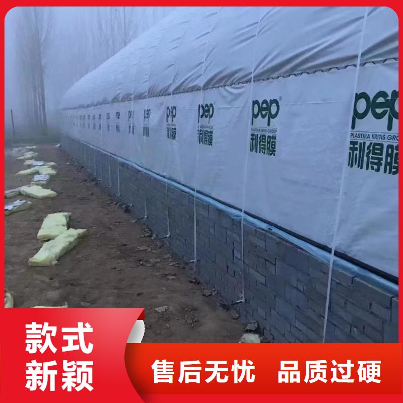乐东县避雨棚蓝莓生产